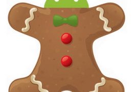 Android 3.0, the Gingerbread’s Details Leak. It’s More Than ‘Dream Come True’
