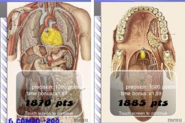 The ‘Speed Anatomy’ Android Game Tests Your Mind vs Other Body Parts!
