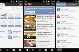 Ninesky Browser — A Light and Fast Browser for Android