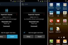Root XXLPQ