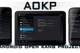 Jelly Bean AOKP Build 1 for Galaxy S2 i9100 is Here