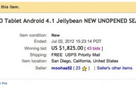 Nexus 7 Fetches $1825 in eBay Bid. Come Again?