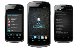 Android 4.1 Jelly Bean Based Affinity ROM for International Galaxy Nexus i9250