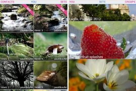 Try Glimmr, the new unofficial Flickr Android app