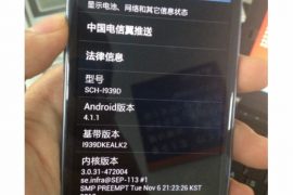 Dual SIM Galaxy S3 spotted in China!