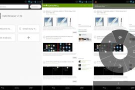 Habit Browser is one of the most powerful browsers on Android