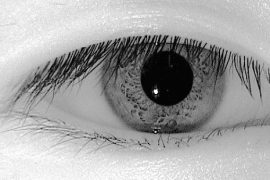 Samsung and LG reportedly prepping devices with iris recognition