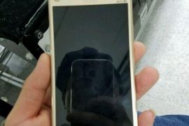 Moto X 2017 shows up in images leak