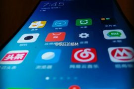 Xiaomi upcoming phone with curves like LG G Flex in the making?