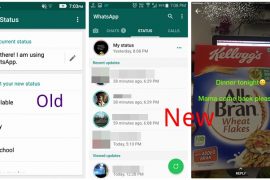 A beginners guide to the WhatsApp Status