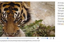 Google’s new Cloud Video Intelligence API can recognize objects in videos