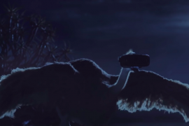 Samsung’s Galaxy S8 Ad ‘Ostrich Dream’ wins 3 Gold, 2 Silver and 2 Bronze awards at Cannes 2017