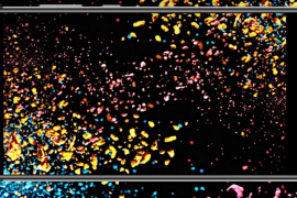 Canadian carrier Videotron to carry the Huawei P10 Lite, arrives June 7th