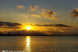 Here are some more OnePlus 5 camera samples