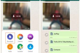 WhatsApp now lets you share all types of file formats