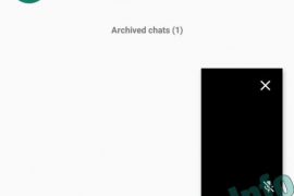 WhatsApp adds a new PiP mode for video calls in the latest beta update
