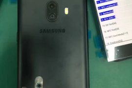 Galaxy C10 images leak with vertical dual camera setup