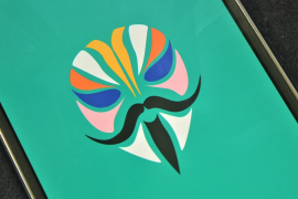 Download Magisk for Project Treble ROMs