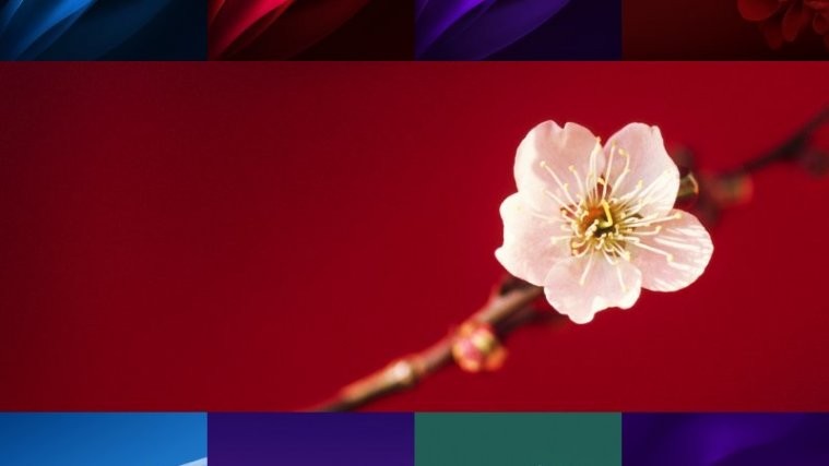 Oppo R15 Stock Wallpapers