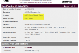 Asus X00RD Android Go phone