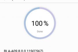 Huawei Mate 10 Pro update B119 is breaking camera app for some people