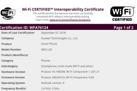 Android 9 Pie update cleared to roll out to Huawei P20 and Mate 10