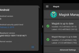 No developer preview yet, but Android Q is already rooted!