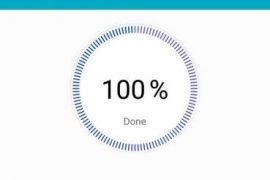 Honor 8X Pie update-1