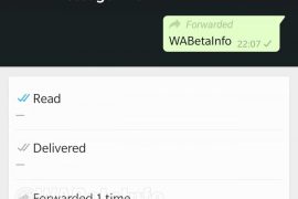 WhatsApp beta 2.19.80 steps up the fight against spam and fake news