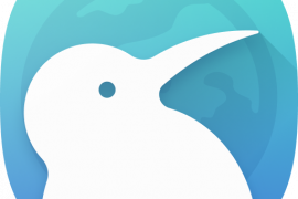 Kiwi Browser for Android adds support for Chrome extensions