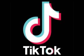 TikTok banned by an Indian High Court for inappropriate content including pornography