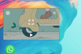WhatsApp beta update 2.19.177 adds PiP feature! [APK download]