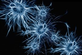 14 Best Brain Training Games on Android in 2019