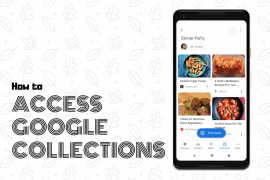 How to access Google Collections