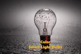 Best Color Smart Light Bulbs in 2020