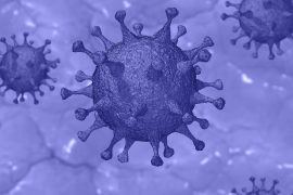 How to spot and avoid fake news on Coronavirus