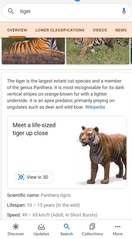 How to get and use Google 3D animals