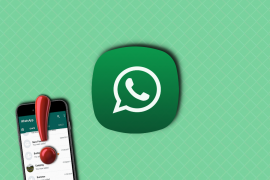 What does report spam on WhatsApp means