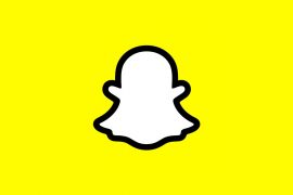 What is a Snap Score?