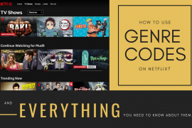 How to put a code on Netflix and visit altgenres directly in 2020