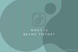 What is Beans TikTok?