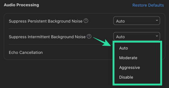 How to enable Noise Cancellation for meetings on Zoom