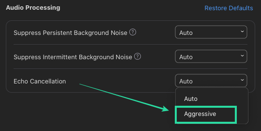 How to enable Noise Cancellation for meetings on Zoom