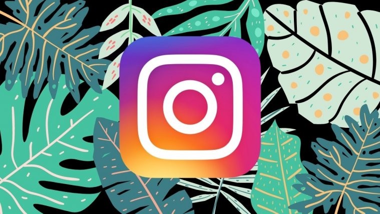 Reels download instagram Instagram Reels