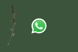 How to Restore Whatsapp Messages on New iPhone