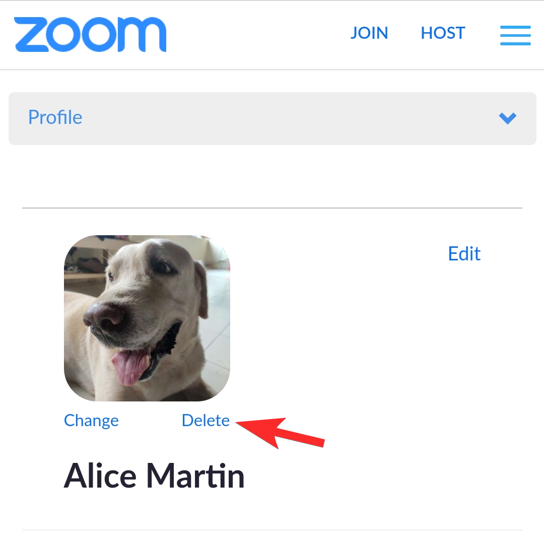 How to Remove Zoom Profile Picture on Your Phone or PC