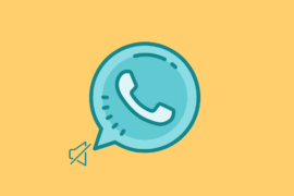 What Happens When You Mute Someone on Whatsapp?