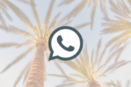 What Is WhatsApp Vacation Mode And How To Get It?