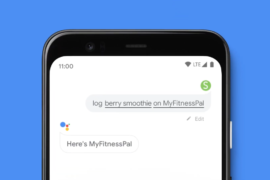 Google Assistant for Apps: List of Commands Confirmed to Be Available Already