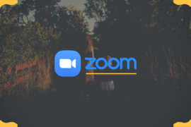 Zoom Error Code 3113: How To Fix the Issue